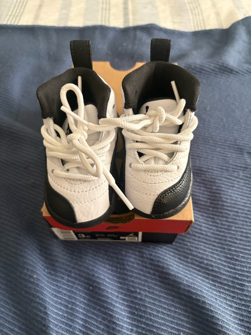 Jordan 12 Retro (TD)